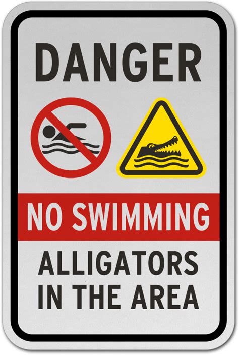 No Swimming Alligators In The Area Sign F8202 By