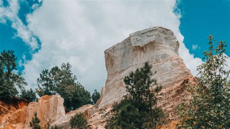 Download Wallpaper 2560x1440 Canyon Rocks Sandy Gorge Trees