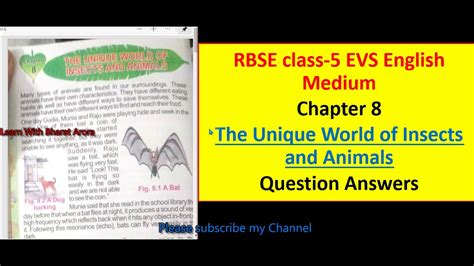 Rbse Class 5 Evs English Medium Chapter 8 The Unique World Of Insects