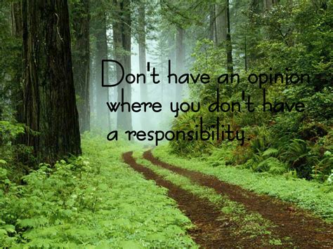 Inspirational Quotes About Forests Quotesgram