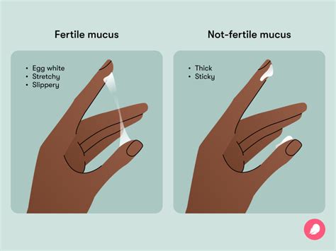 cervical mucus chart how it looks when you re fertile flo