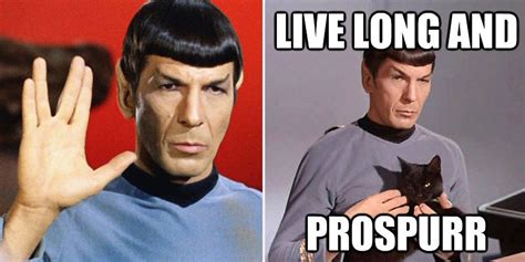 15 Spock Memes Only True Star Trek Fans Will Understand