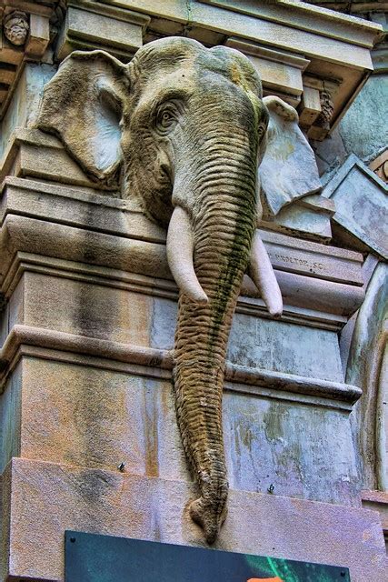 Elephant House At The Bronx Zoo A Photo On Flickriver