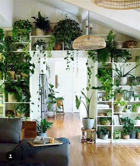 37 Diy Indoor Plant Display Ideas House Plants Decor Room With