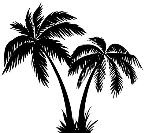 Maybe you would like to learn more about one of these? Silhouette Arecaceae Clip art - Palms Silhouette Clip Art ...