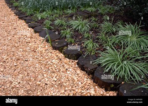 Edge Of A Garden Border With New Bark Chippings Stock Photo Alamy