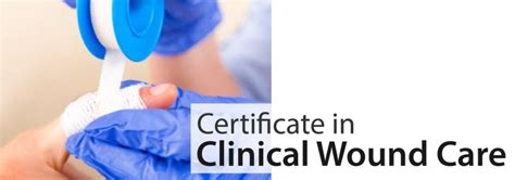 Association of marine industries of professional certificate in cilt professional qualifying examination logistic awarding bodies : Wound Management Programme Malaysia