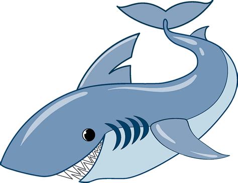Cartoon Shark Clip Art