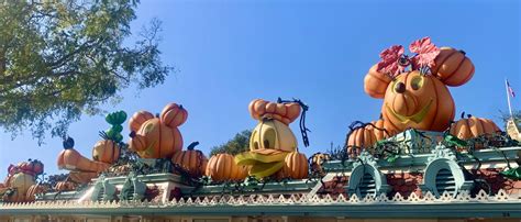 11 Tips to Celebrate a Gluten-Free Disneyland Halloween (2024)