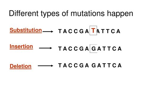 Ppt Mutations Powerpoint Presentation Free Download Id5672284