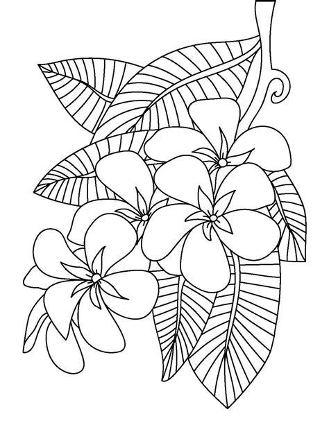 Pin by Coloring Pages for Adults on Coloring Pages | Flower coloring pages, Coloring pages 