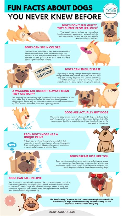 Amazing Fun Facts About Dogs You Probably Didnt Know Monkoodog