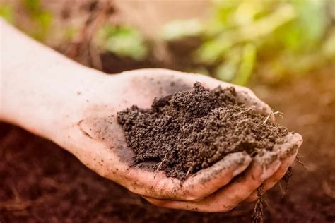 How Much Does A Yard Of Topsoil Weigh Find Your Answer Here