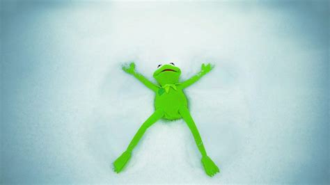20 Hearts Kermit The Frog Wallpapers Wallpaperboat