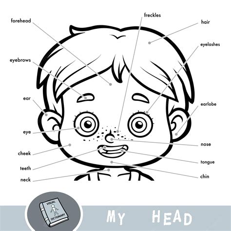 Dicionário Visual De Desenhos Animados Para Crianças Sobre O Corpo