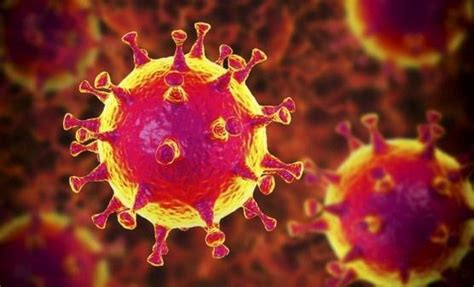 Koronavirüs zaman çizelgesi Ne zaman ortaya çıktı Nasıl yayıldı