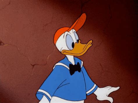 disney vintage donald duck find on er