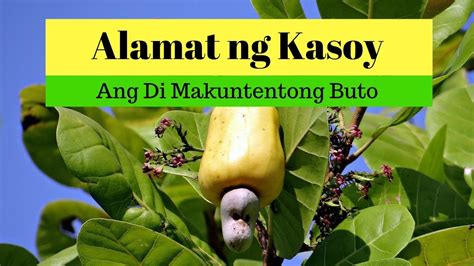Alamat Ng Kasoy Kwentong Pambata Araling Pilipino Filipino Fairy