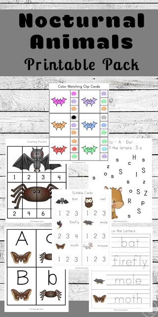 They are extremely well adapted to survive in the nighttime with nocturnal animals cannot use vision to communicate. FREE Nocturnal Animals for Kids Worksheets