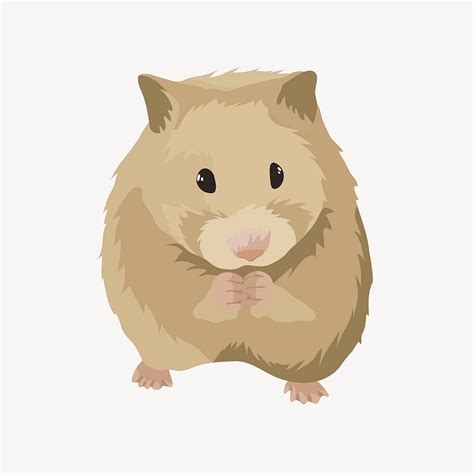 Hamster Illustration Clipart Vector Premium Vector Illustration