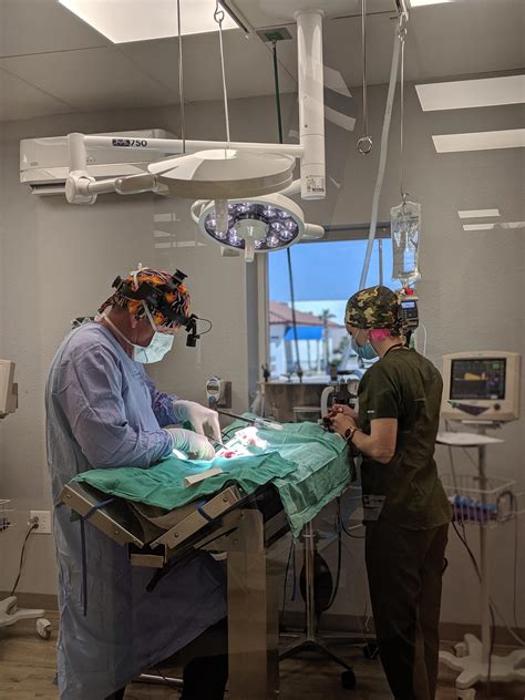 Surgery in Alamogordo, NM | Leslie Animal Clinic