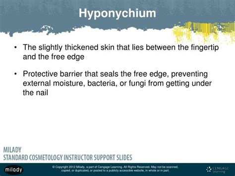 Ppt Chapter 9 Nail Structure And Growth Powerpoint Presentation Id