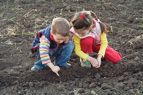 Kids Planting Seeds Stock Photos Pictures And Royalty Free Images Istock