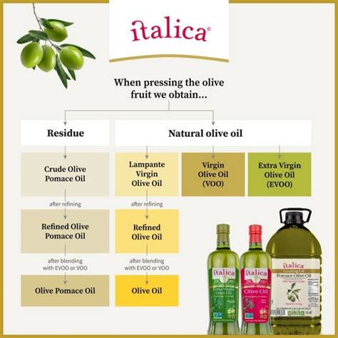 Types Of Olive Oil Infographic