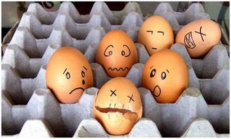 Funny Eggs Amazing Art