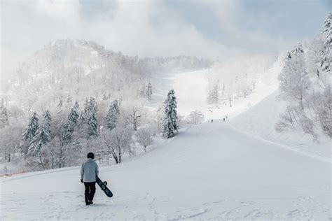 Things To Do In Hokkaido In Winter Polkadot Passport