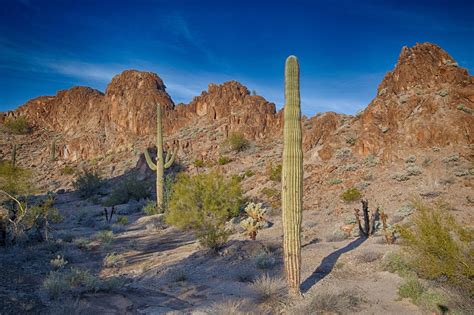 Sonoran Desert Jamie Boyle Photography