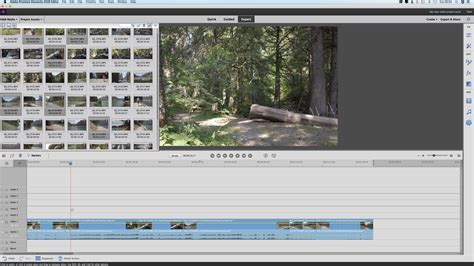 You can download and use mixkit's premiere pro video template files, to create the video effects you are after, free of charge. Adobe Premiere Elements Templates | TUTORE.ORG - Master of ...