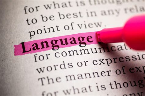 The Importance Of Language Teachunited