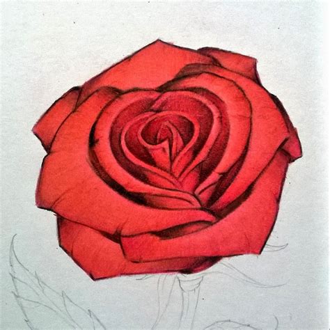 A Drawing Of A Red Rose On White Paper