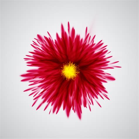 Colorful explodes/flowers, vector illustration 311013 ...