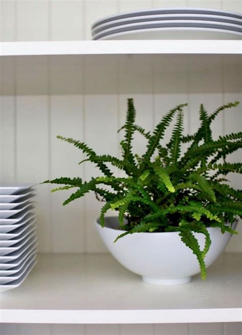 Which lights are best for growing cannabis? The Houseplant Diaries: How I Learned to Stop Worrying and ...