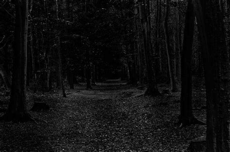 Free Download Dark Ghost Gothic Wood Trees Fantasy Evil Horror