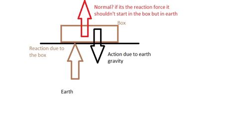 Newtonian Mechanics Is The Normal Force The Reaction Force Physics