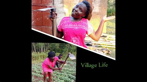 A Day In Life As A Village Girl Youtube
