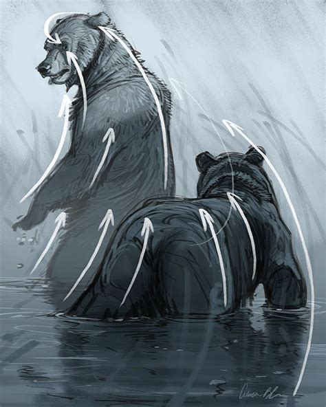 How To Draw Bears Tutorial And Video Lessons With Aaron Blaise