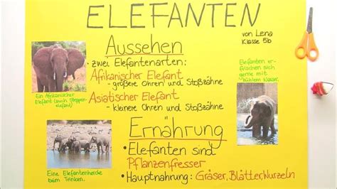 Plakat gestalten - In 6 Minuten zum perfekten Ergebnis