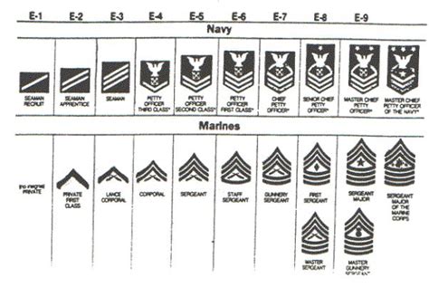 From enlisted to officers (photo: Best 25+ Marine corps rank structure ideas on Pinterest ...
