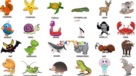 Kidtv Animals Puzzle For Kids Learn Animal Names Part1