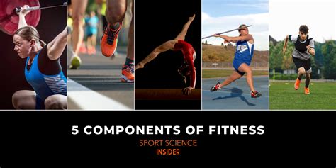 5 Components Of Fitness Sport Science Insider