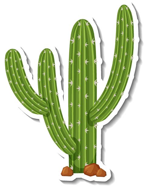 Saguaro Cactus Plant On White Background 4869622 Vector Art At Vecteezy