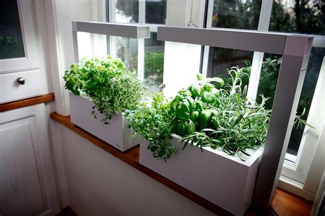 Indoor Herb Gardening ~ Container Homes Plans