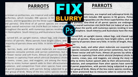 How To Fix Blurry Text Document Image For Readable In Adobe Photoshop