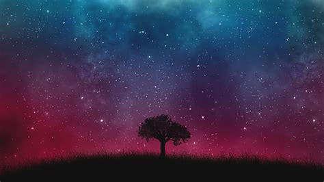 Wallpaper Starry Sky Night Tree 5760x3240 Wallup 1182251 Hd