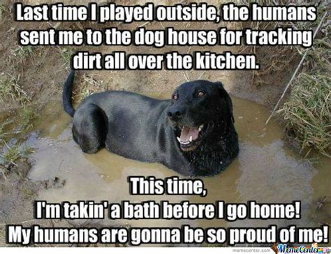 Ifunny is fun of your life. Messy Dog by memecenter_king - Meme Center