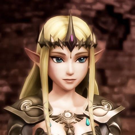 Zelda Icon Zelda Hyrule Warriors Hyrule Warriors Legend Of Zelda